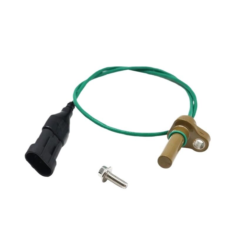 今季の どんぐりアート♡たぬきちゃん壁掛けオブジェ お花見おオブジェ